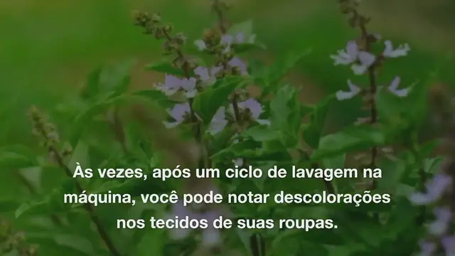 'Video thumbnail for Leva apenas 3 folhas de louro para fazer roupas desbotadas parecerem novas novamente'