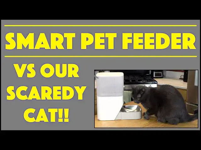 'Video thumbnail for Nooie Smarthome Pet Feeder -- DEMO & REVIEW'
