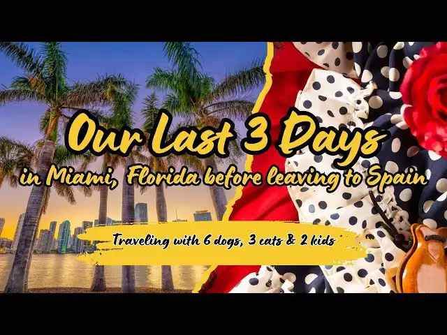 'Video thumbnail for Our last 3 days in Florida! (Part 1/3) #relocationstory #movingtospain #Miami #Spain #travelvideo'