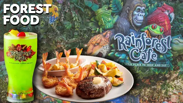 'Video thumbnail for What REALLY Happened To The Rainforest Cafe?'