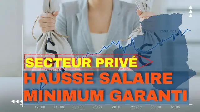 'Video thumbnail for 💹 Hausse du salaire minimum garanti dans le secteur privé en Algérie : date et modalité annoncées'