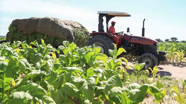 'Video thumbnail for Zimbabwe's plan to compensate evicted white farmers sparks backlash'