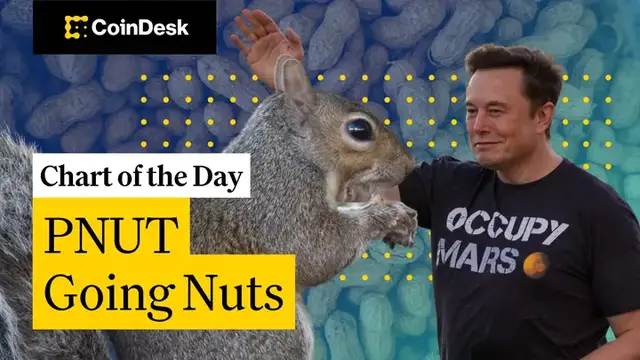 'Video thumbnail for Memecoin PNUT Soars on Elon Musk’s Epstein Cue'