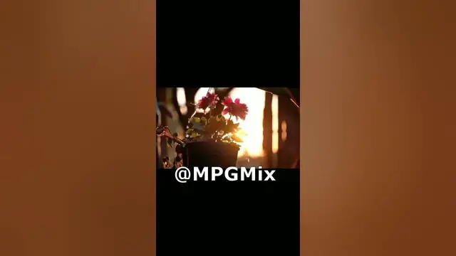 'Video thumbnail for اجمل زهور فى العالم ورود جميله Flowers'