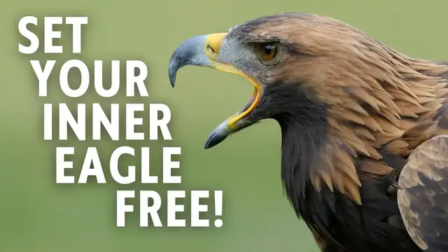 'Video thumbnail for Inspirational Story: Feather'