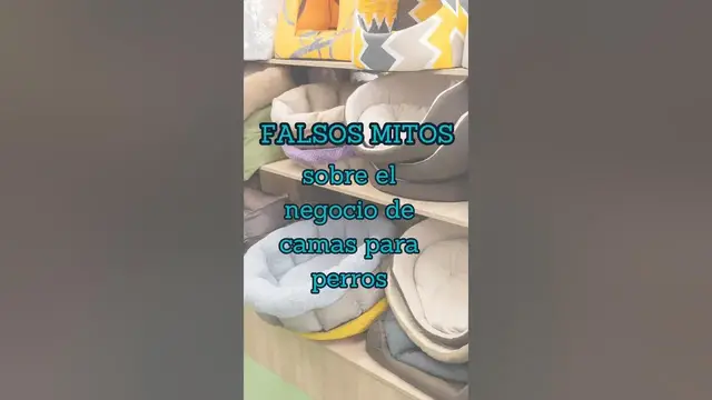 'Video thumbnail for Falsos mitos de empezar con camas de perros desde casa. #negociodesdecasa'