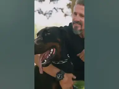 'Video thumbnail for Do Animals Recognize Individual Humans? #shorts'