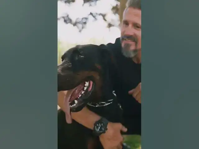 'Video thumbnail for Do Animals Recognize Individual Humans? #shorts'