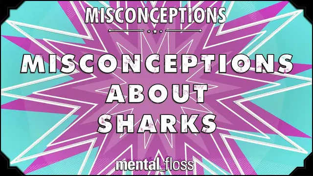 'Video thumbnail for Misconceptions about Sharks - mental_floss on YouTube (Ep. 30)'