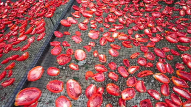 'Video thumbnail for 24 Hours at Mrizi I Zanave!! (Full Documentary) Ultimate Albanian Farm Food Experience!!'