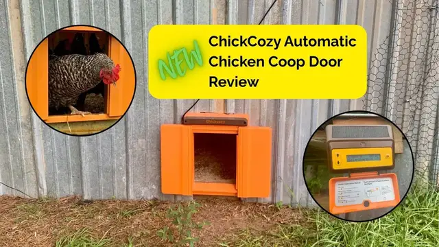 'Video thumbnail for Updated ChickCozy Chicken Coop Door Review – No More Tracks!'