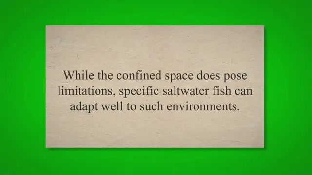 'Video thumbnail for Exploring Saltwater Fish Options for Your 5-Gallon Aquarium'