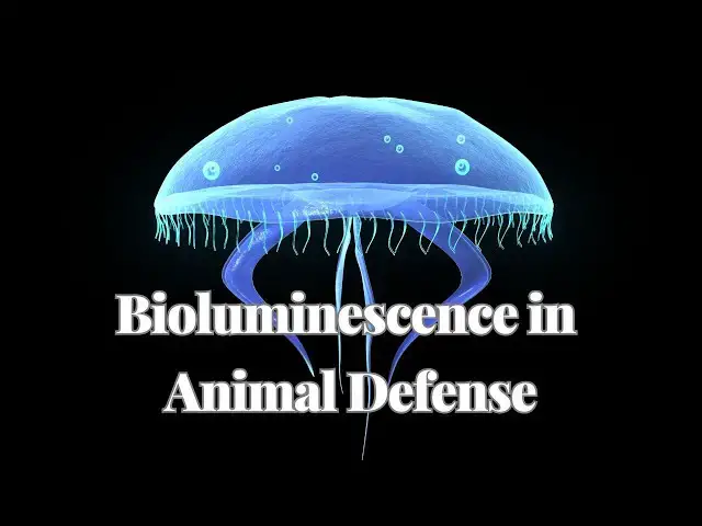'Video thumbnail for Bioluminescence in Animal Defense: Lighting Up to Deter Predators'