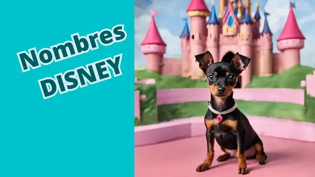 'Video thumbnail for 馃悤 Nombres para perritos de personajes DISNEY 鉂わ笍 #minipinscher'