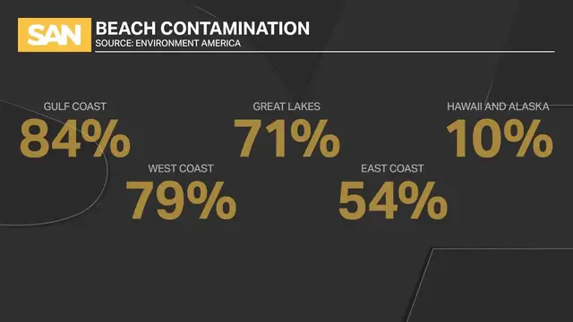 'Video thumbnail for More than 60% of US beaches saw fecal contamination in 2024'