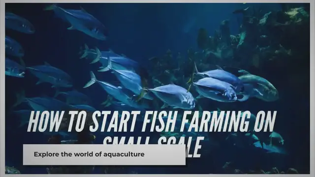 'Video thumbnail for How to Start Fish Farming on Small Scale'