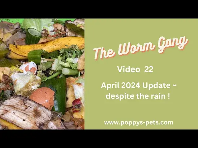 'Video thumbnail for Video 22: April 2024 Update - Worm Bin Stacking Compost Bin. #wormcomposting'