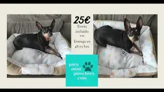 'Video thumbnail for 馃悤馃悤 Oferta cama para mini pinscher. 鉁呪渽 C贸moda cuna para perros mini'