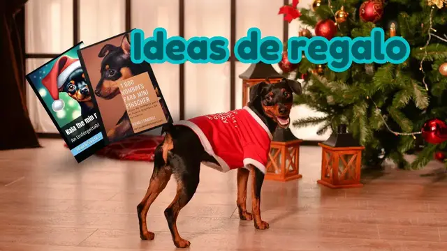 'Video thumbnail for 馃悤Cuento infantil con MINI PINSCHER 鉂わ笍'