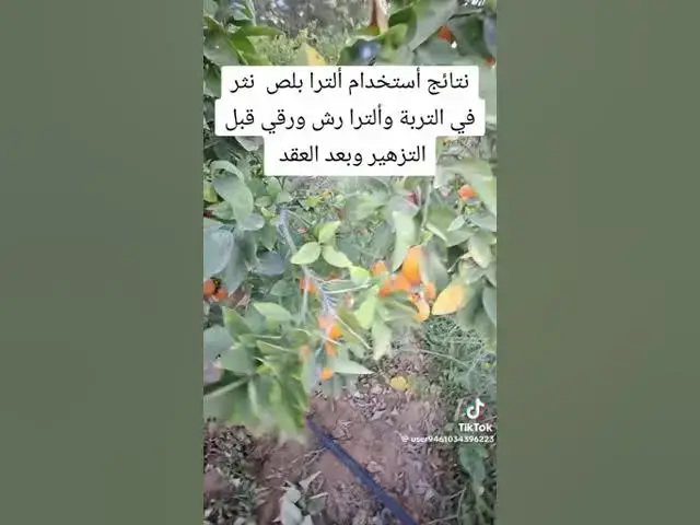 'Video thumbnail for # fertilizer Manaser Group , Ultra plus 45 مخصب نباتي ومحسن للتربة'