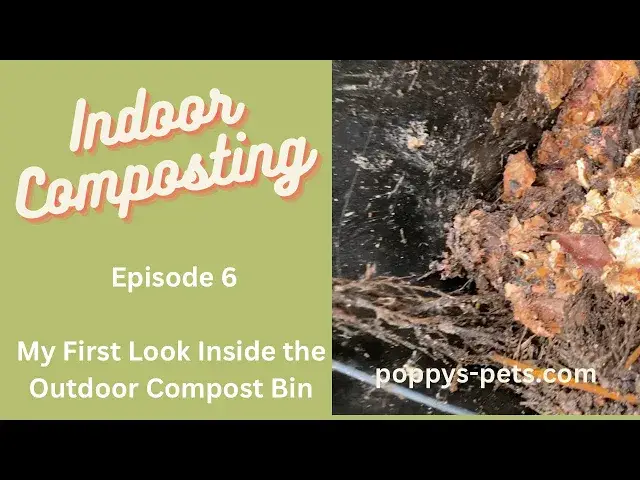 'Video thumbnail for Episode 6: Rethinking Composting Distribution'