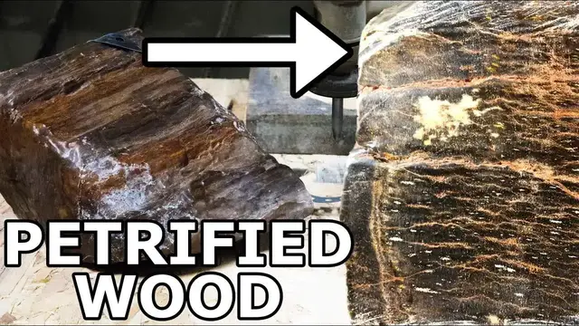 'Video thumbnail for Petrified Wood: Waterjet Cutting a Fossil for Stunning Wood Grain Reveal'