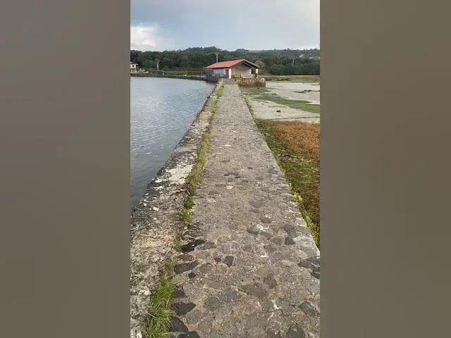 'Video thumbnail for Marisma Joyel (Cantabria)'