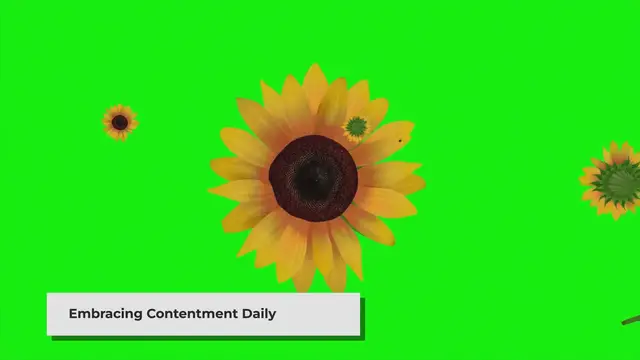'Video thumbnail for Poems Celebrating the Beauty of Contentment'