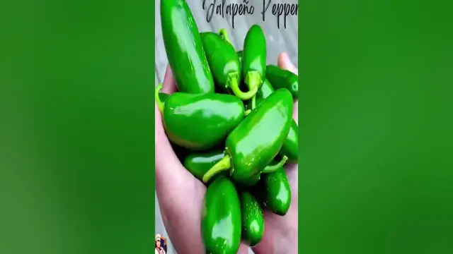 'Video thumbnail for 15 Thai Chilies Substitute – Pro Food Recipes – for more information chack description link'