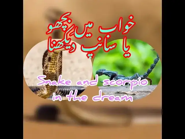 'Video thumbnail for Khawab main samp daikhna ya khawab main bicho daikhna'