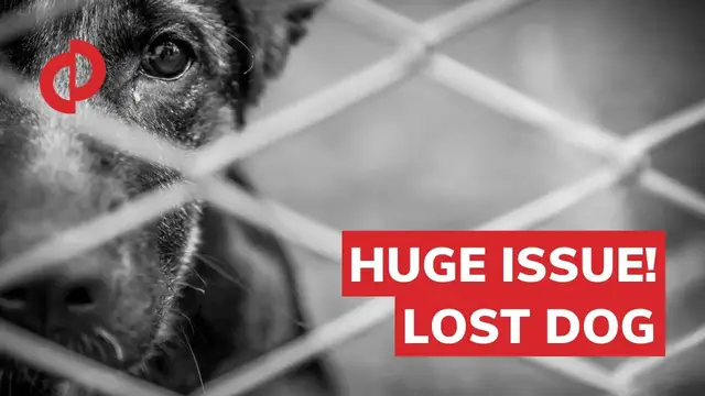 'Video thumbnail for Vetco Clinics reviews: I can't believe PETCO let this happen!'