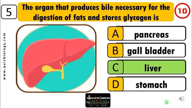 'Video thumbnail for Digestive System Trivia Quiz | Human Physiology Quiz | Digestive System Quiz -Parts and Function'