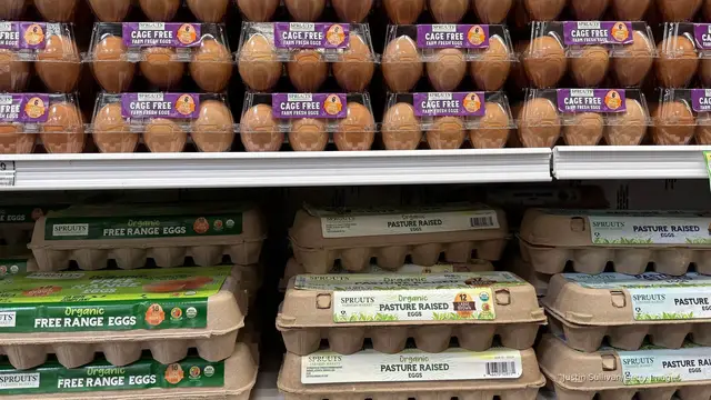 'Video thumbnail for DOJ lawsuit says California’s ‘cage-free’ laws contributed to rise in egg prices'