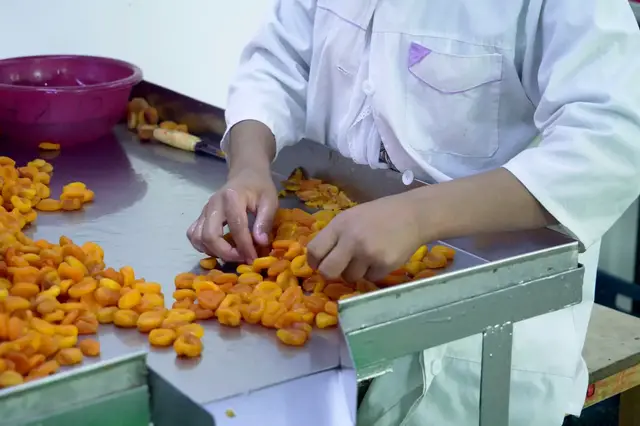 'Video thumbnail for Tajik apricot farmers sound the alarm: Climate change threatens age-old way of life'