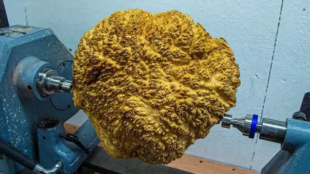 'Video thumbnail for Woodturning - Fifty Shades of Red Mallee Burl'