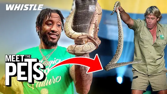 'Video thumbnail for How Robert Covington Became The NBA’s Steve Irwin'