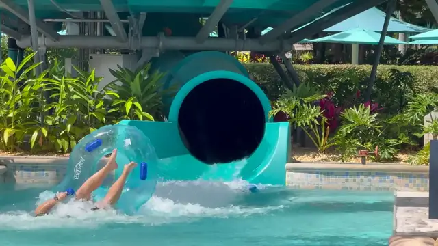 'Video thumbnail for Full Report from Tassie's Underwater Twist at Aquatica Orlando'