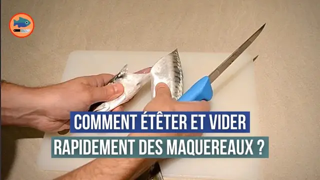 'Video thumbnail for Comment étêter et vider rapidement des maquereaux ?'