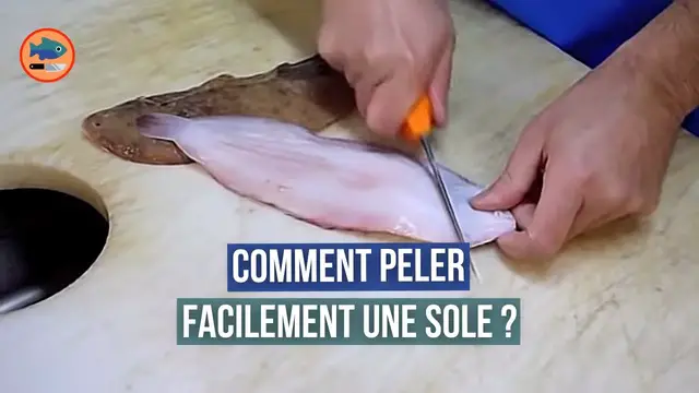 'Video thumbnail for Comment peler une sole ?'