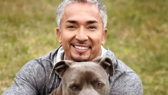 'Video thumbnail for The Untold Truth Of The Dog Whisperer'