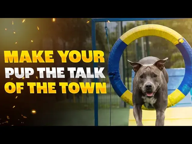 'Video thumbnail for 9 Tips for Owning a Pitbull | Must for FIRST TIME Pit bull Owners!'