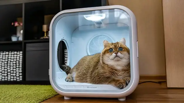 'Video thumbnail for HOME GADGETS ON AMAZON YOU MUST BUY'