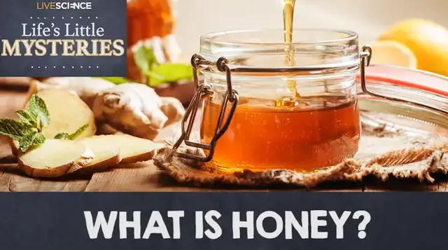 'Video thumbnail for What Exactly Is Honey Made Of?'