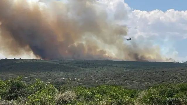 'Video thumbnail for DNR deals with budget cuts, reduced staff as wildfires rage in West'