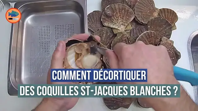 'Video thumbnail for Décorticage de coquilles st-jacques blanches (rapide)'