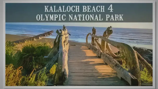 'Video thumbnail for Kalaloch Beach 4, Olympic National Park'