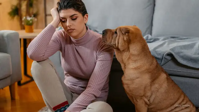 'Video thumbnail for Stressed at work? Your dog may be feeling it too'