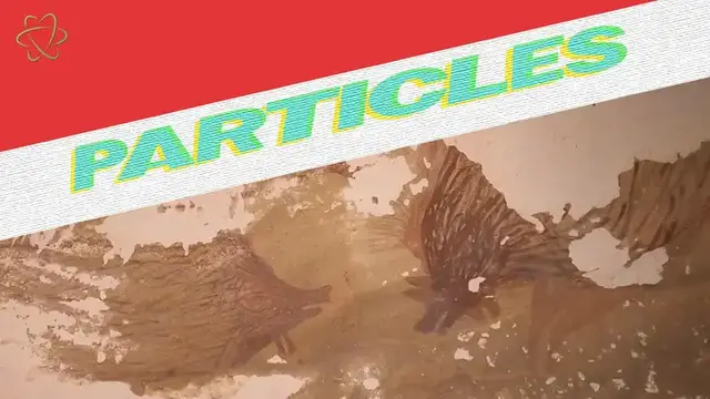 'Video thumbnail for Warty Pig Is The Oldest Animal Cave Art'
