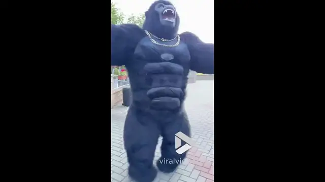 'Video thumbnail for VV4967 Man in gorilla suit stuns crowd with breakdancing skills'