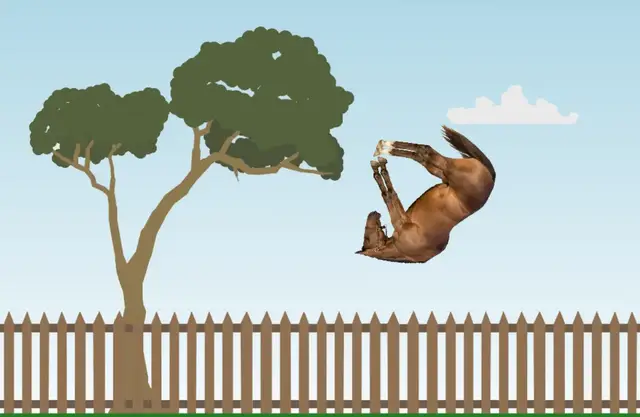 'Video thumbnail for Equine Gymnastic in Pivot Animator 5'